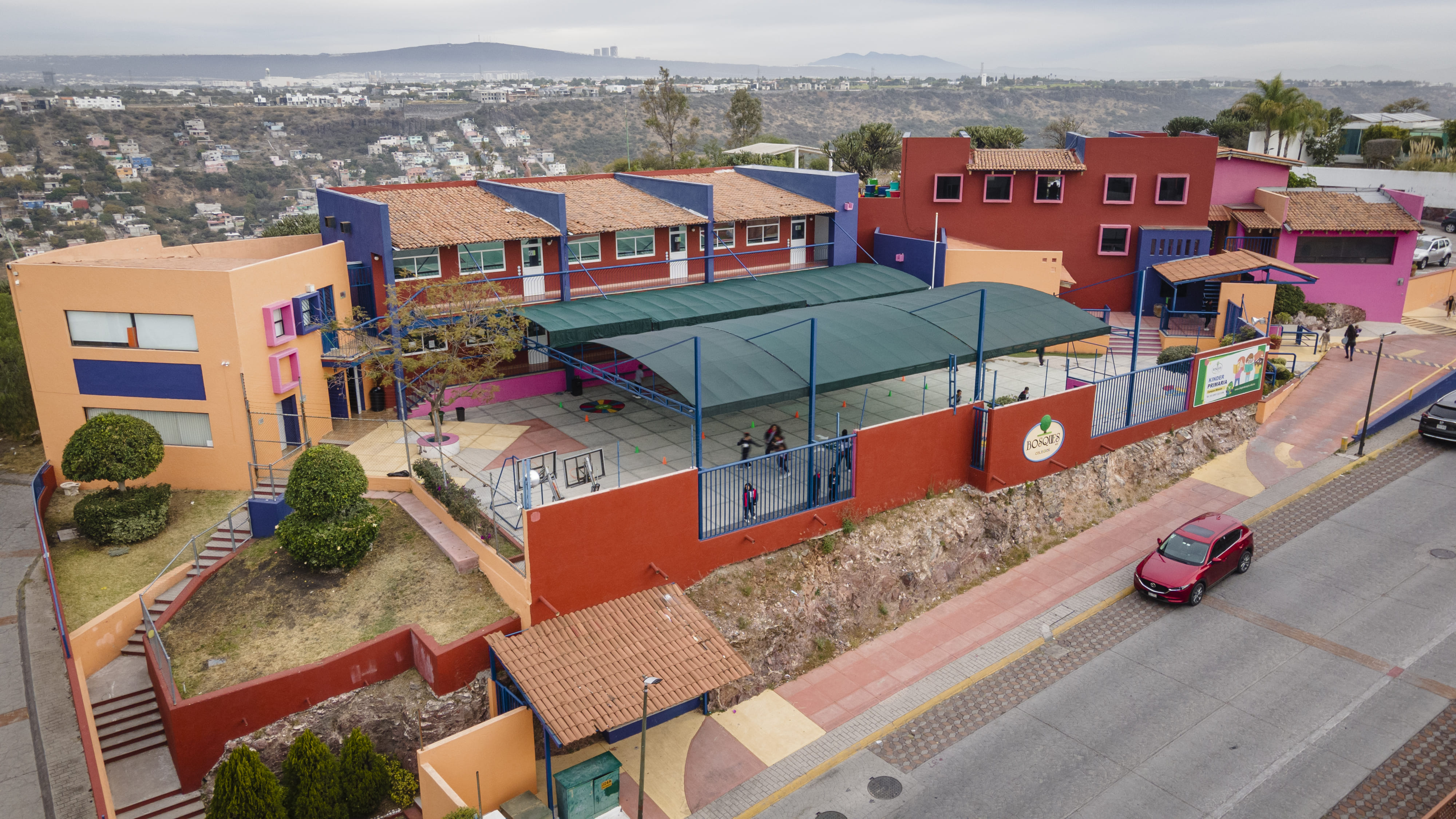 colegio, bosques, primaria, educación, escuela, calidad